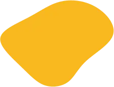 shape-04